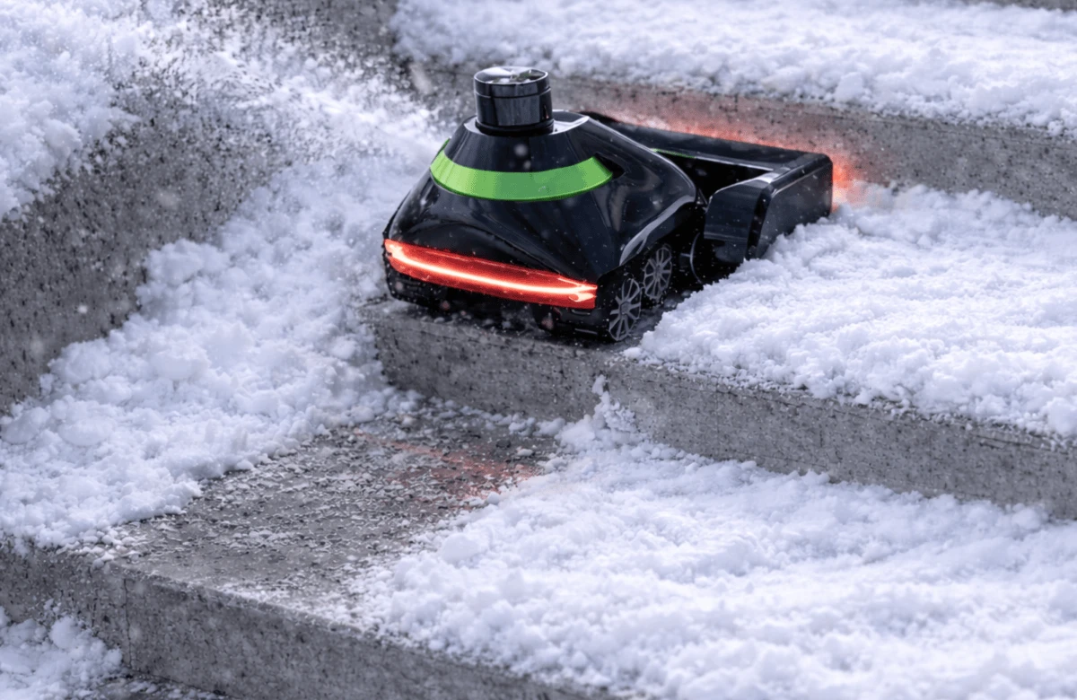 Internal structure rendering